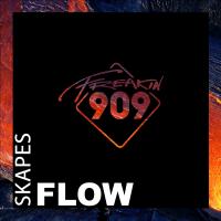 Artwork for Flow by Skapes