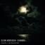 Artwork for Shimmer (Jurek Przezdziecki Remix)