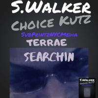 Artwork for Searchin by Terrae'