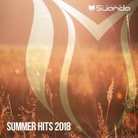 Artwork for Summer Hits 2018 by Various Artists