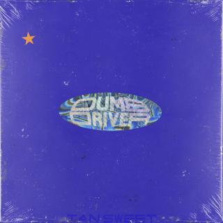 Artwork for Dumb Driver