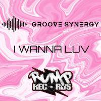 Artwork for I Wanna Luv by Groove Synergy