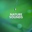 Artwork for Somewhere In A Forest (Original Mix)