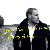 Artwork for You're the World to Me by David Gray