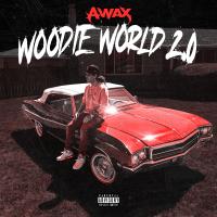 Artwork for Woodie World 2.0 by A- Wax