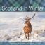 Artwork for Loch Lomond