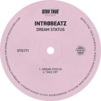 Artwork for Dream Status by Intr0beatz