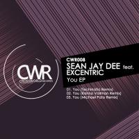 Artwork for You (Remixes) by Sean Jay Dee