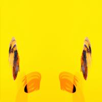 Artwork for Hopes by Giles Appleton