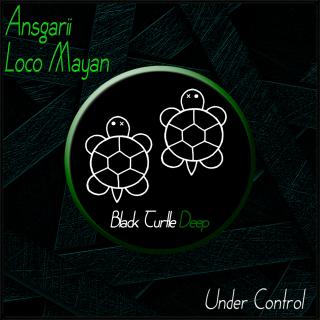 Artwork for Under Control