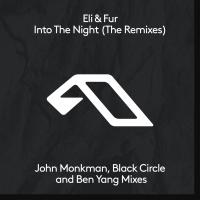 Artwork for Into The Night (The Remixes) by Eli & Fur