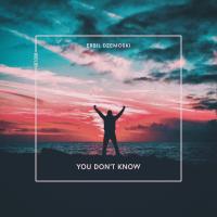 Artwork for You Don't Know by Erbil Dzemoski