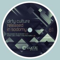 Artwork for Released In Sodomy by Dirty Culture