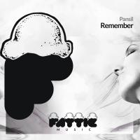 Artwork for Remember by Pansil