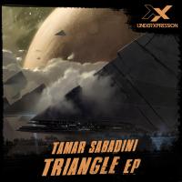 Artwork for Triangle EP by Tamar Sabadini