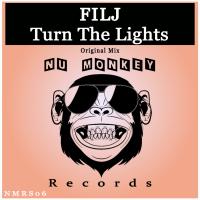 Artwork for Turn The Lights by FILJ