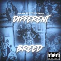 Artwork for Different Breed by Young Dmo The Prince