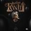Artwork for Ran It Up