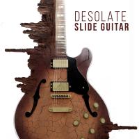 Artwork for Desolate Slide Guitar by David O'Brien