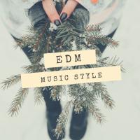 Artwork for SLiVER Recordings: EDM Music Style, Vol.29 by Various Artists