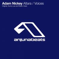 Artwork for Altara / Voices by Adam Nickey