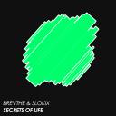Artwork for Secrets Of Life (Extended Mix)