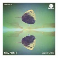 Artwork for Desert Wind by Nico Aristy