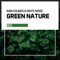 Artwork for Green Nature by Rain Sounds