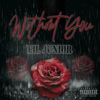 Artwork for Without You by LiL Junior