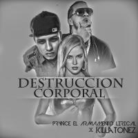 Artwork for Destruccion Corporal by Prynce El Armamento Lirical