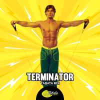 Artwork for Terminator (Tabata Mix) by Tabata Music