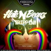 Artwork for Trippin! by Hate N Beanz