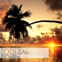 Artwork for Toolza! EP by Alex Geralead