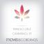 Artwork for Cannabinol (Original Mix)