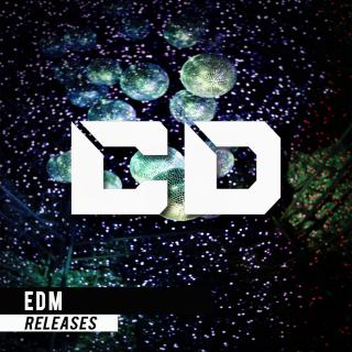 Artwork for I Don't Love You (Original Mix)