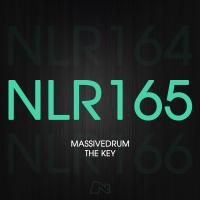 Artwork for The Key by Massivedrum