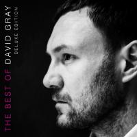 Artwork for The Best of David Gray by David Gray