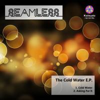 Artwork for Cold Water by Seamless