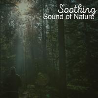 Artwork for Soothing Sound of Nature by Massage Tribe