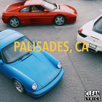 Artwork for Palisades, CA by Larry June