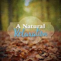 Artwork for A Natural Relaxation by Sounds of Nature Relaxation