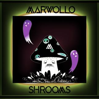 Artwork for Shrooms (Original Mix)