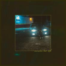 Artwork for "Remember That Night?" by Sara Kays