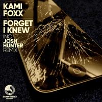 Artwork for Forget I Knew by Kami Foxx