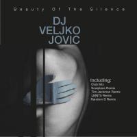 Artwork for Beauty Of The Silence by DJ Veljko Jovic