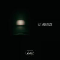 Artwork for surveillance by AN:TI