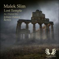 Artwork for Lost Temple by Malek Slim