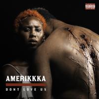 Artwork for Amerikkka Dont Love Us by Mistah F.A.B.