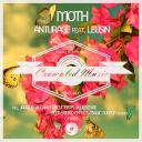 Artwork for Moth (Jarquin & Cano Remix)