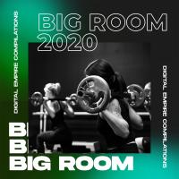 Artwork for Big Room 2020 by Various Artists